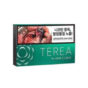 【14種口味】韓國版 IQOS 煙彈 TEREA 系列 IQOS ILUMA 主機專用加熱煙 - 淡薄荷
